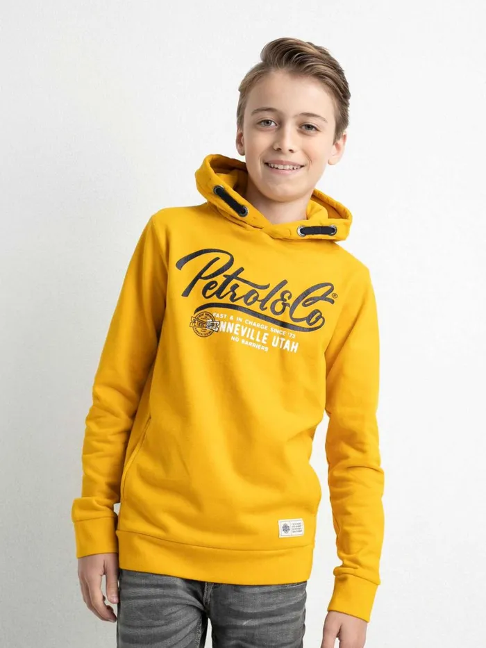 Boys Knits and Sweats Petrol Industries Hoodie With Logo Artwork Fresh Mango