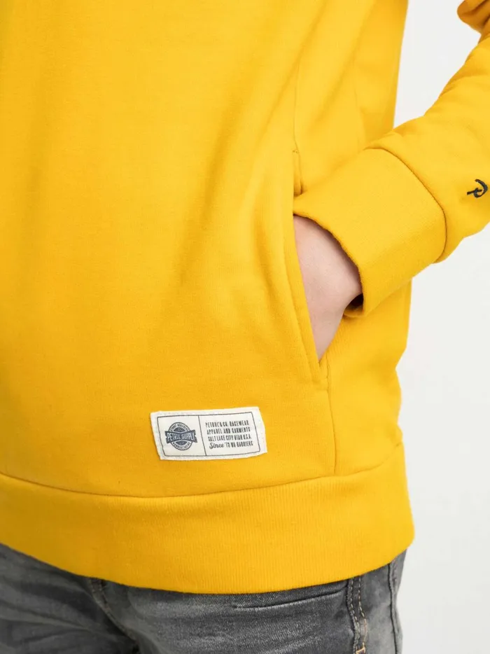 Boys Knits and Sweats Petrol Industries Hoodie With Logo Artwork Fresh Mango