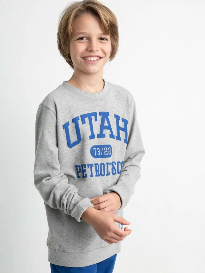 Boys Knits and Sweats Petrol Industries Pullover With Logo Artwork Light Grey Melee