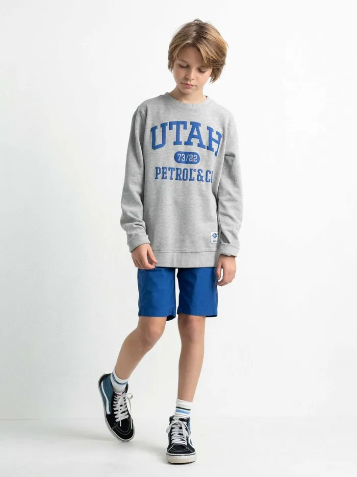 Boys Knits and Sweats Petrol Industries Pullover With Logo Artwork Light Grey Melee
