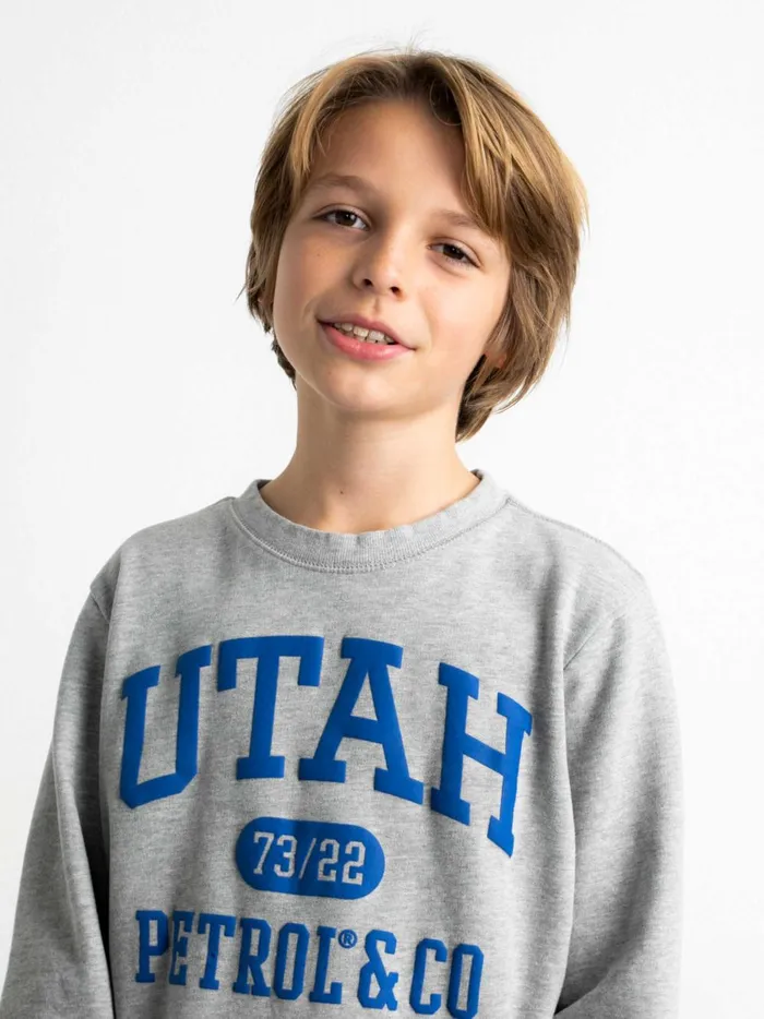 Boys Knits and Sweats Petrol Industries Pullover With Logo Artwork Light Grey Melee
