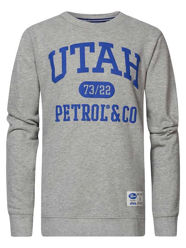 Boys Knits and Sweats Petrol Industries Pullover With Logo Artwork Light Grey Melee