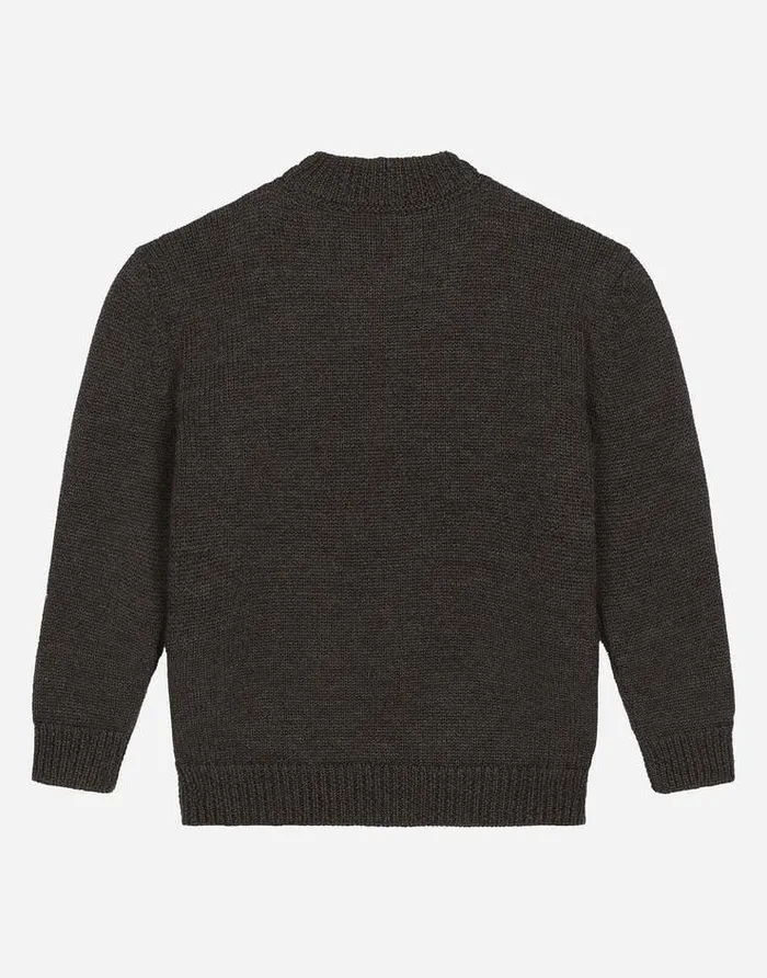 Dolce and Gabbana Sweaters Children Wool Roundneck Sweater With Flocked DG Logo Multicolor Dolce and Gabbana Sweaters Children Wool Roundneck Sweater With Flocked DG Logo Multicolor