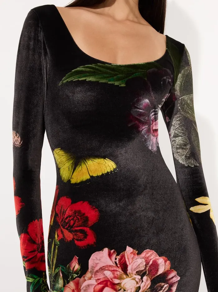 Dresses Women Alice Olivia Delora Velvet Midi Dress In The Wind Floral
