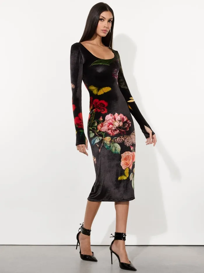 Dresses Women Alice Olivia Delora Velvet Midi Dress In The Wind Floral