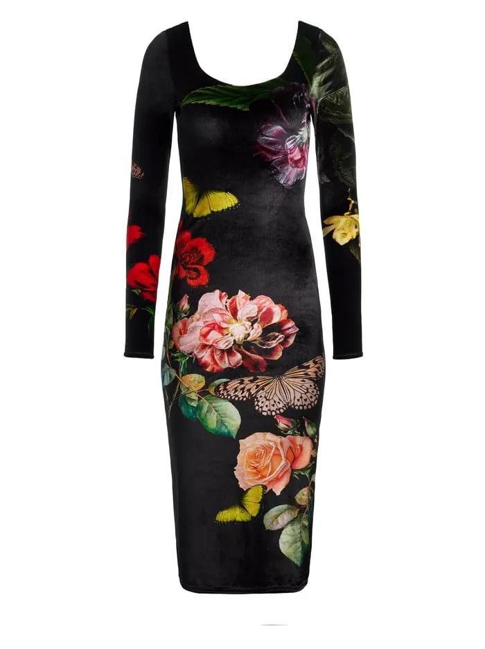 Dresses Women Alice Olivia Delora Velvet Midi Dress In The Wind Floral