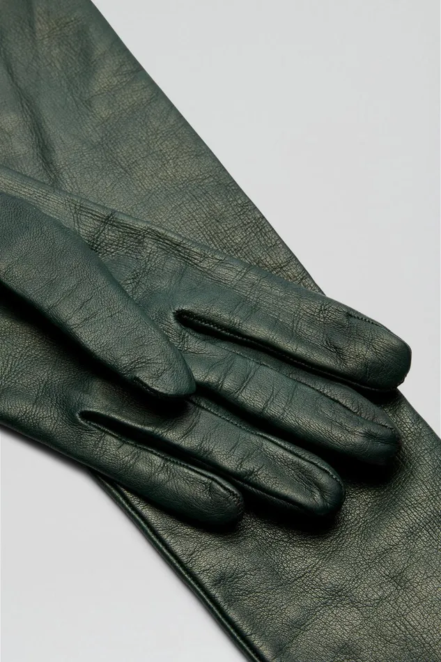 Leather Women Scanlan Theodore LEATHER GLOVES Dark Green Leather Women Scanlan Theodore LEATHER GLOVES Dark Green
