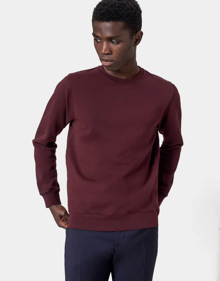 Men Crewneck Sweatshirts Colorful Standard Classic Organic Crew Lava Grey