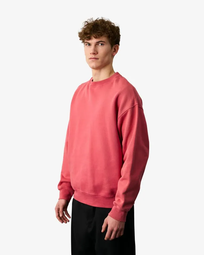 Men Crewneck Sweatshirts Colorful Standard Organic Oversized Crew Heather Grey