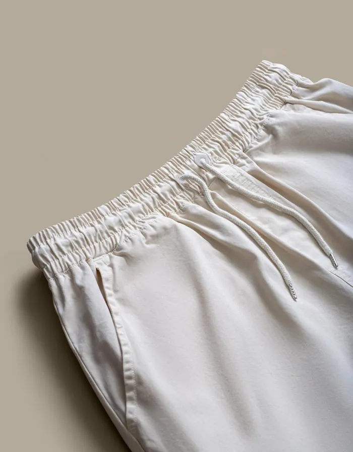 Men Shorts Colorful Standard Organic Twill Shorts Sahara Camel