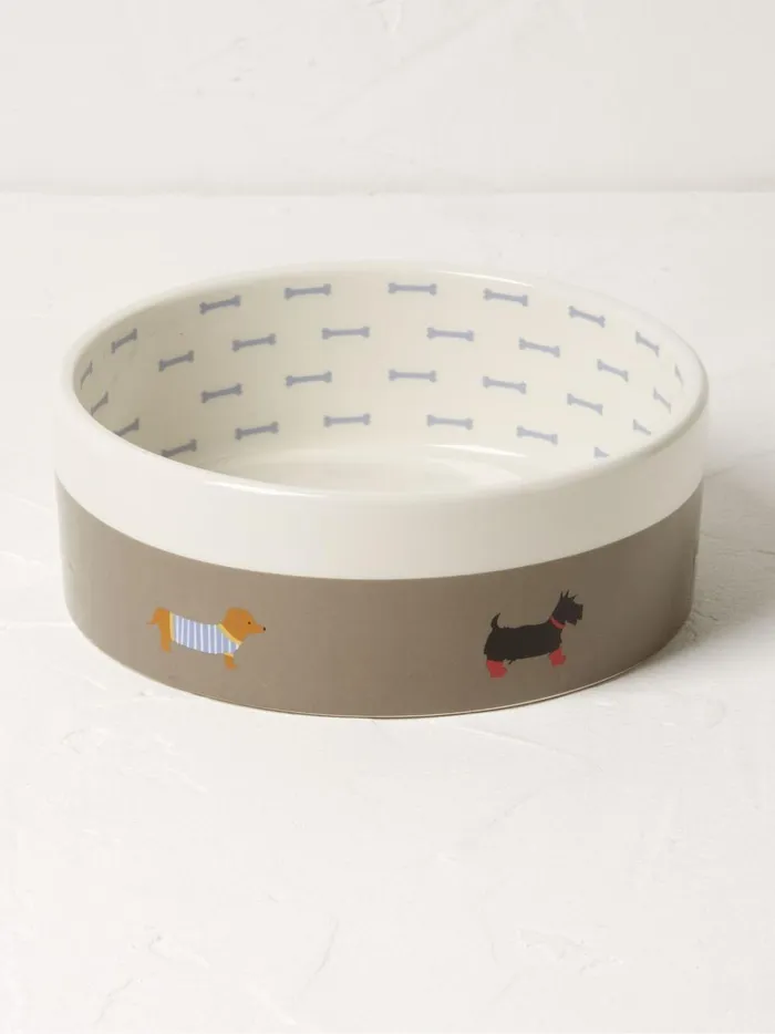 Pet Accessories Fat Face Grey Small Marching Dogs Pet Bowl