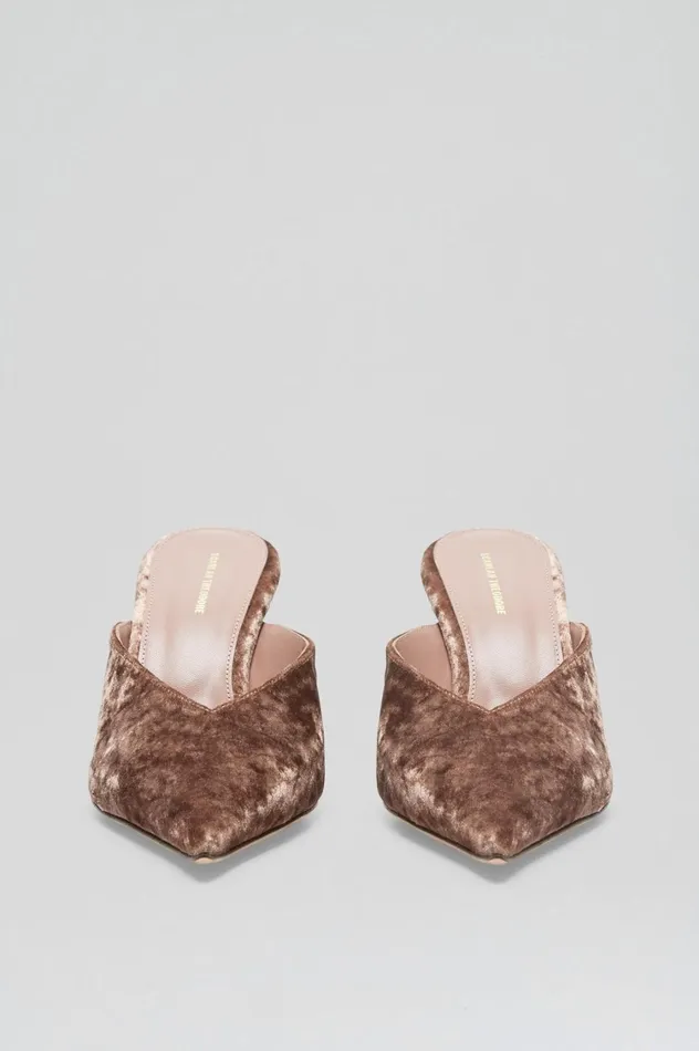 Shoes Women Scanlan Theodore VELVET MULE 75 Mink