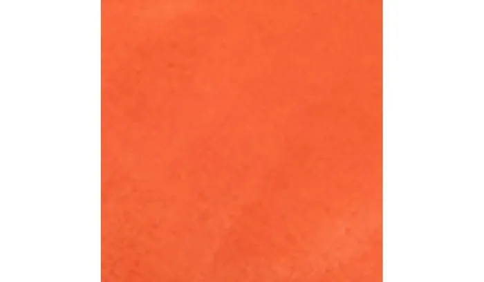Sneakers Women Franco Sarto Franco Bonza Slip On Tangerine Suede