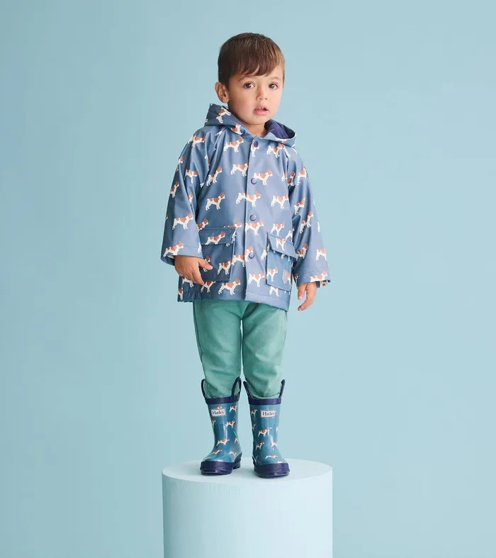 Toddler Boys French Bulldogs Rain Boots Hatley