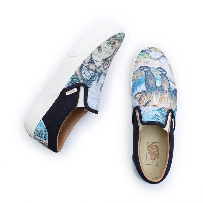 Vans Slipon Shoes Men Classic SlipOn Shoes Multicolour