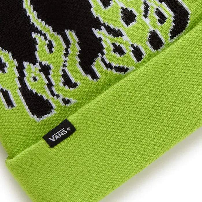 Vans View All Kids Flaming Beanie Green