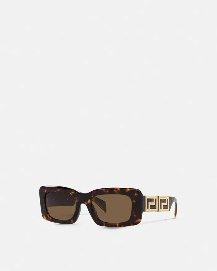 Versace Endless Greca Sunglasses Havana Women Sunglasses