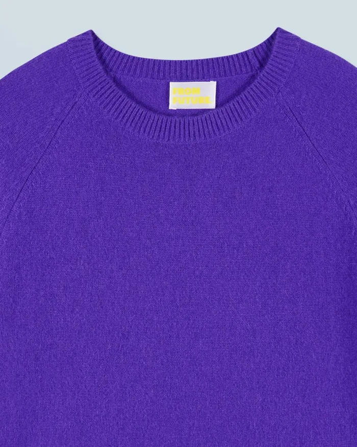 Women Cashmere Sweaters From Future Light Crewneck Sweater Pop Purple