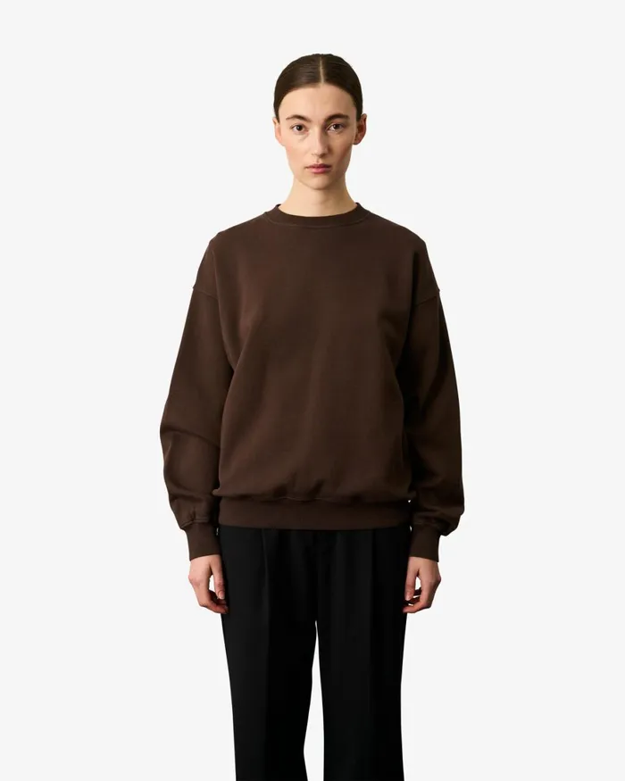 Women Crewneck Sweatshirts Colorful Standard Organic Oversized Crew Heather Grey