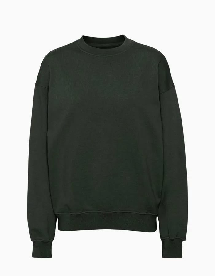 Women Crewneck Sweatshirts Colorful Standard Organic Oversized Crew Hunter Green