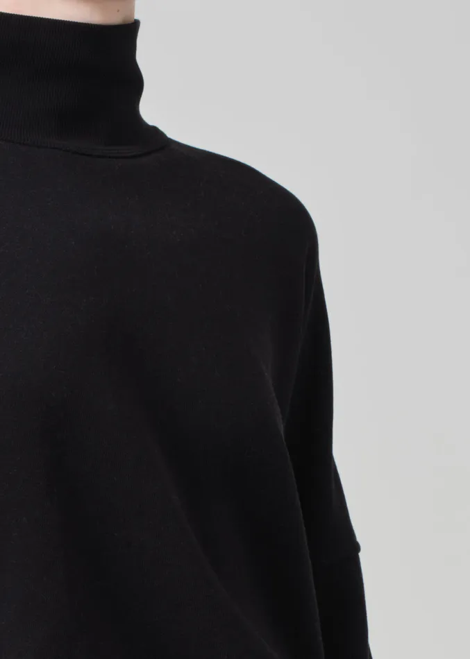 Women Tops Citizens Of Humanity Cara Turtleneck In Black