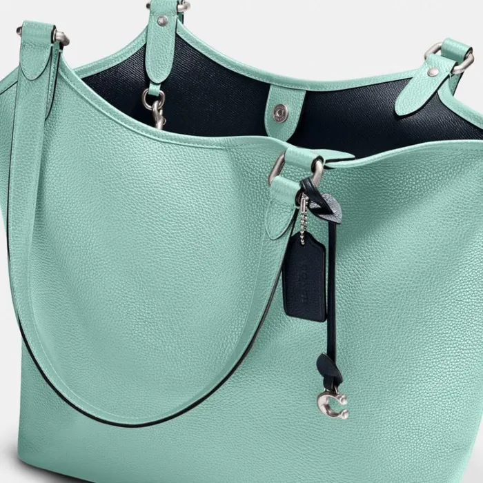 Women Totes and Carryalls Coach Day Tote Silverfaded Blue
