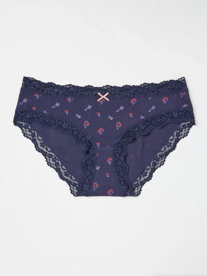 Women Underwear Fat Face Rose Blue Floral Stripe Short Knickers